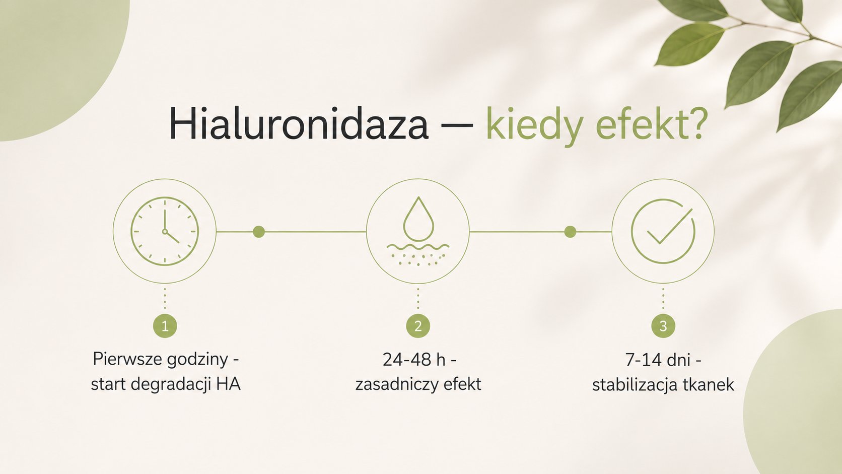Hialuronidaza - kiedy efekt: start degradacji HA w pierwszych godzinach, zasadniczy efekt 24-48 h, stabilizacja tkanek 7-14 dni