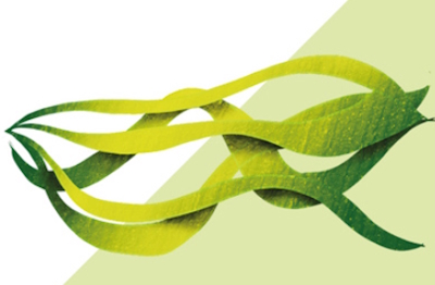 Mannuronian metylosilanolu