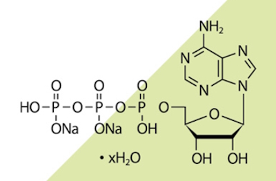 Fosforan adenozyny disodowy