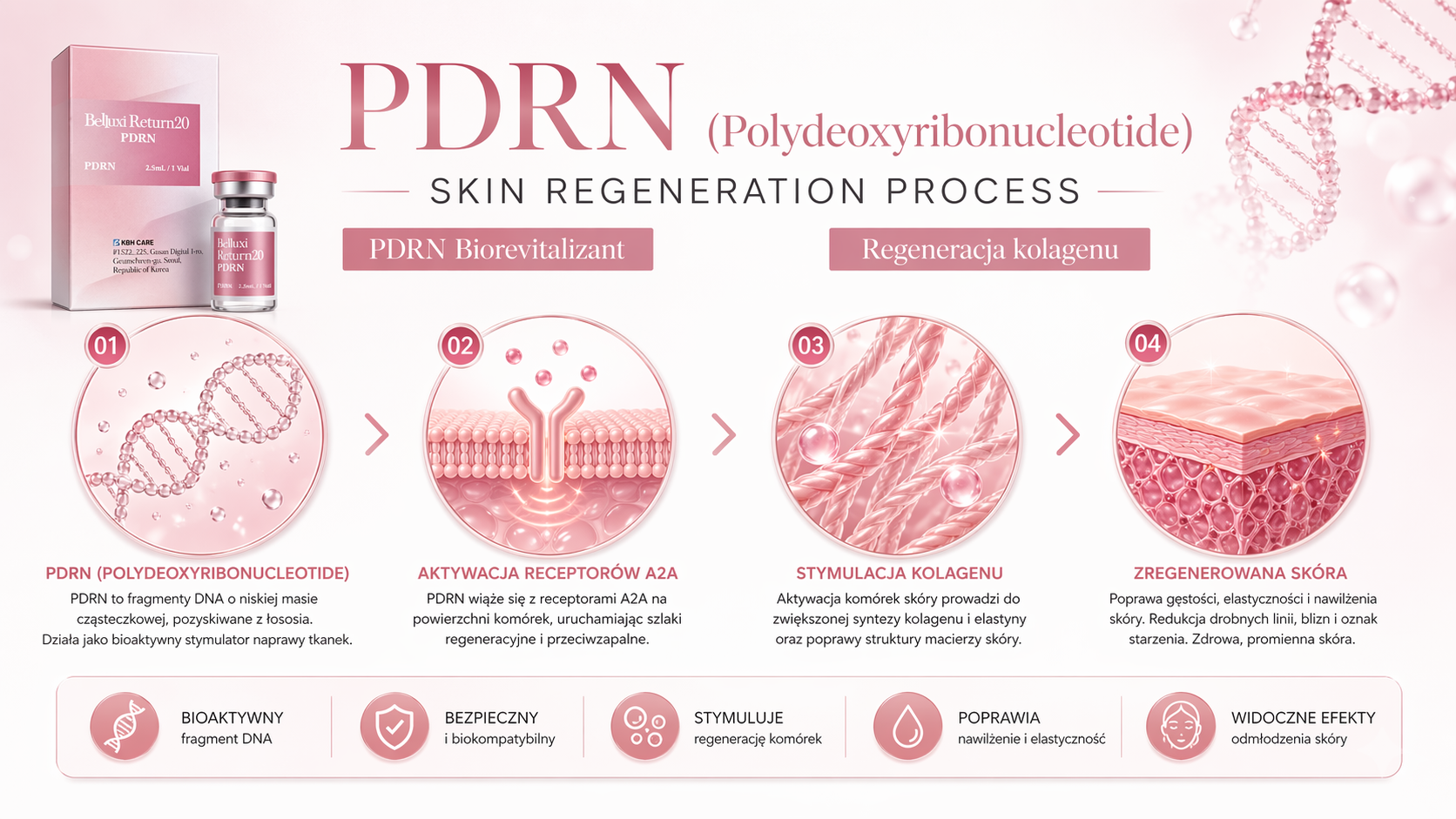 PDRN skin regeneration process - infografika