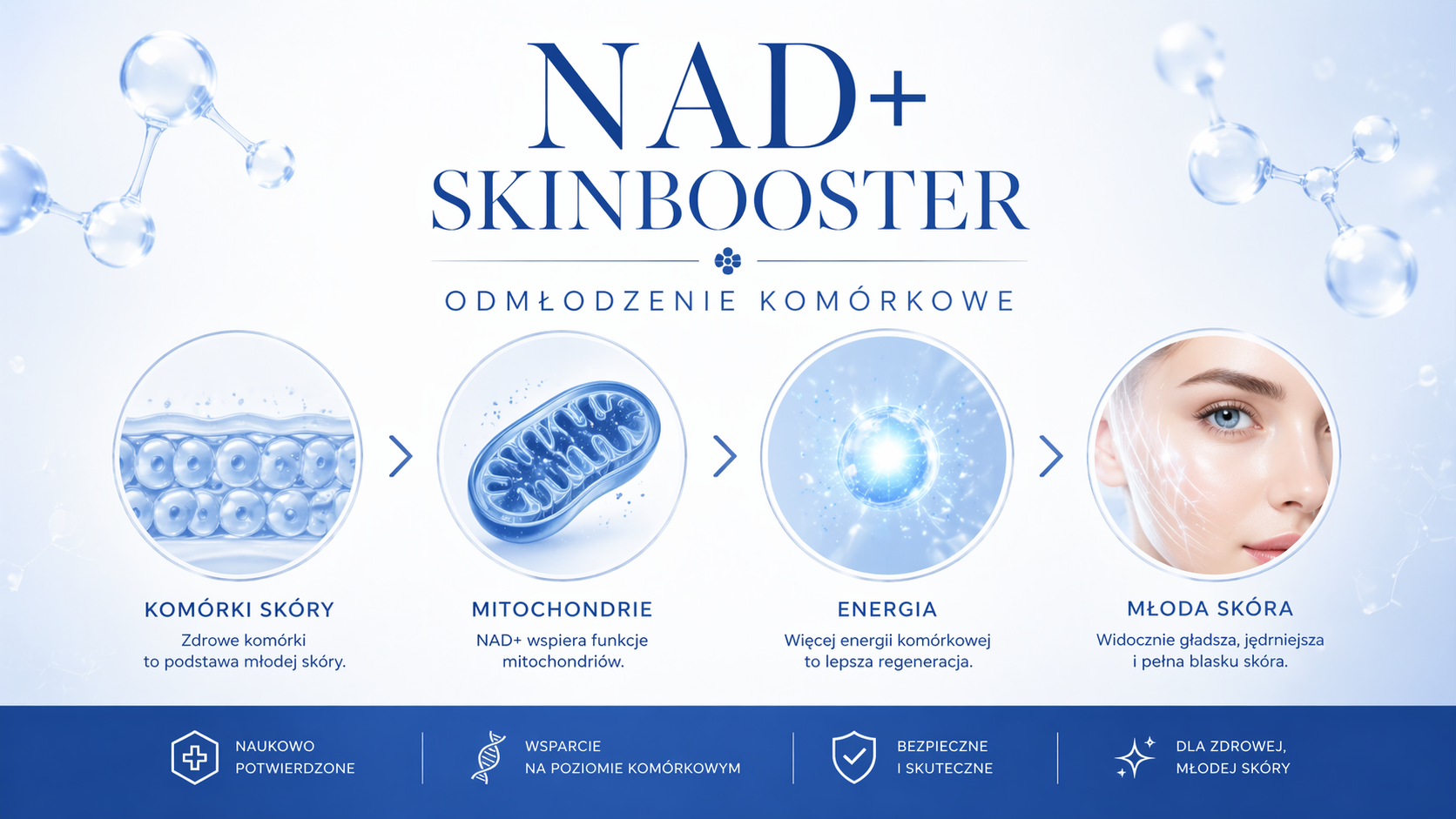 NAD+ Skinbooster - odmłodzenie komórkowe infografika
